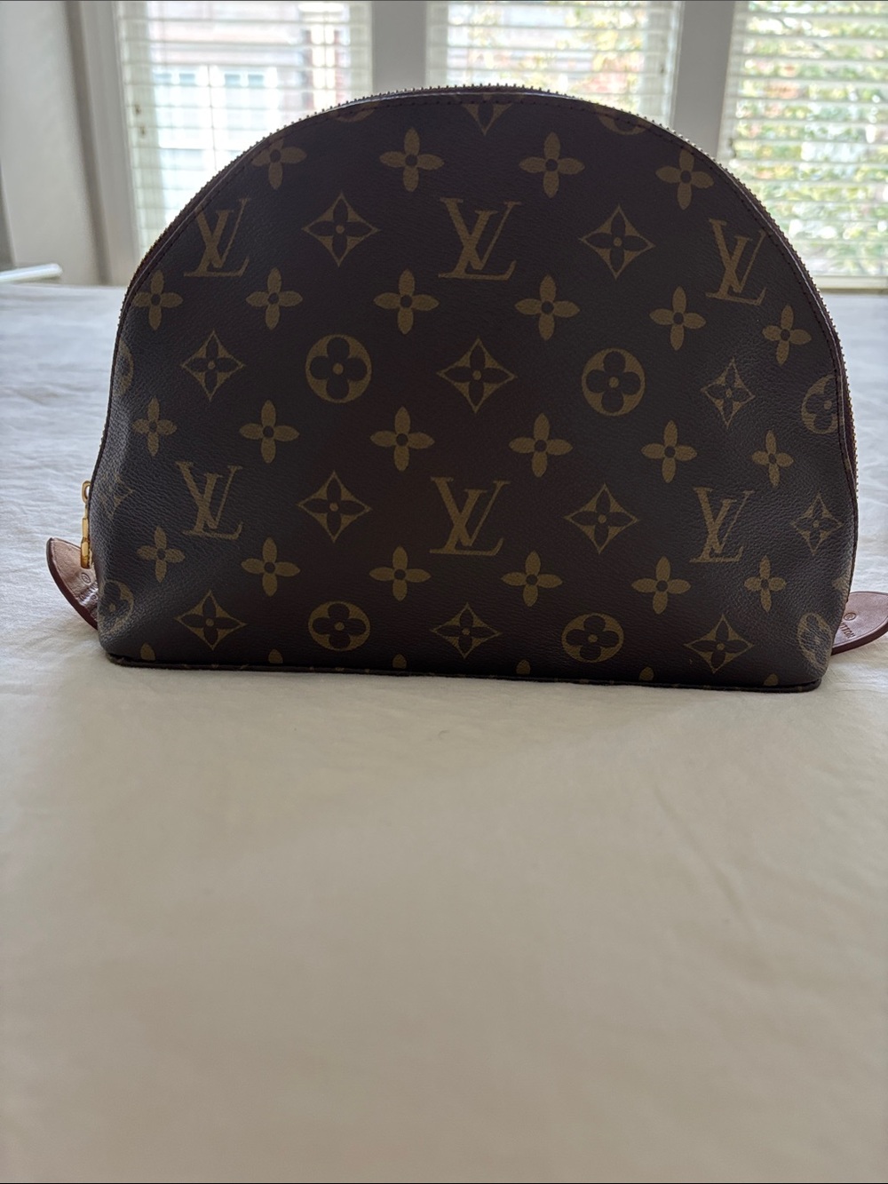 Louis Vuitton (FAUX) Monogram Canvas Dome Cosmetic Pouch in Brown